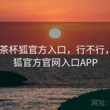 随记 茶杯狐官方入口，行不行，茶杯狐官方官网入口APP