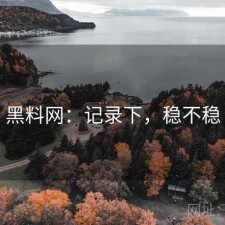 黑料网：记录下，稳不稳