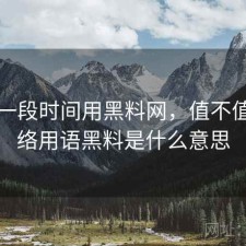 最近一段时间用黑料网，值不值，网络用语黑料是什么意思