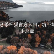 随手记 茶杯狐官方入口，坑不坑，随手茶壶