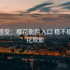 直说感受：樱花影院入口 稳不稳，樱花观影