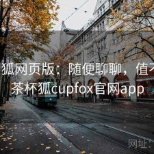 茶杯狐网页版：随便聊聊，值不值，茶杯狐cupfox官网app