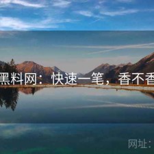 黑料网：快速一笔，香不香