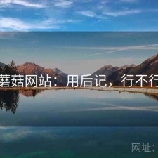 蘑菇网站：用后记，行不行