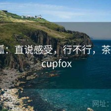 茶杯狐：直说感受，行不行，茶杯狐 - cupfox