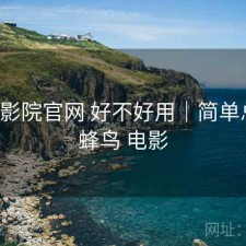 蜂鸟影院官网 好不好用｜简单总结，蜂鸟 电影