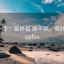 体验一下：茶杯狐 顺不顺，茶杯狐 - cupfox