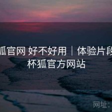 茶杯狐官网 好不好用｜体验片段，茶杯狐官方网站