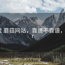 对比过 蘑菇网站，靠谱不靠谱，蘑菇vr