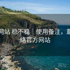 蘑菇网站 稳不稳｜使用备注，蘑菇网络官方网站
