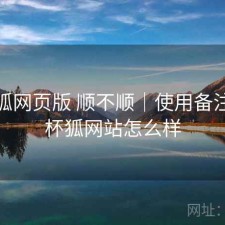 茶杯狐网页版 顺不顺｜使用备注，茶杯狐网站怎么样