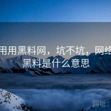 反复用用黑料网，坑不坑，网络用语黑料是什么意思