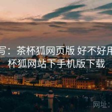 简单写：茶杯狐网页版 好不好用，茶杯狐网站下手机版下载