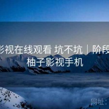 柚子影视在线观看 坑不坑｜阶段结论，柚子影视手机