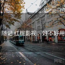 随记 红桃影视，好不好用