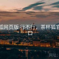 茶杯狐网页版 行不行，茶杯狐官方入口