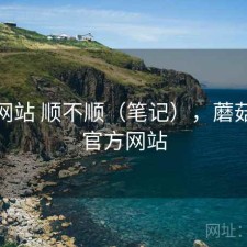 蘑菇网站 顺不顺（笔记），蘑菇网络官方网站