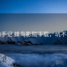 随手记 蜂鸟影院下载，坑不坑
