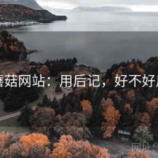 蘑菇网站：用后记，好不好用