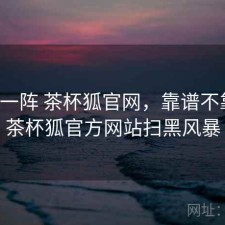 用了一阵 茶杯狐官网，靠谱不靠谱，茶杯狐官方网站扫黑风暴