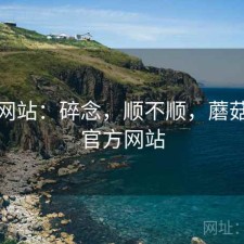 蘑菇网站：碎念，顺不顺，蘑菇网络官方网站