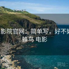 蜂鸟影院官网：简单写，好不好用，蜂鸟 电影