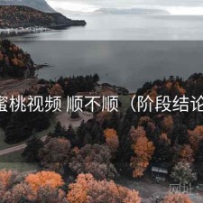 蜜桃视频 顺不顺（阶段结论）