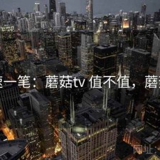 快速一笔：蘑菇tv 值不值，蘑菇vr