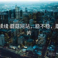 断断续续 蘑菇网站，稳不稳，蘑菇网片