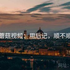 蘑菇视频：用后记，顺不顺