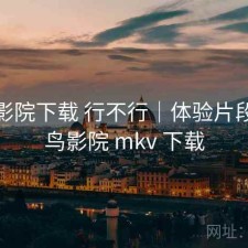 蜂鸟影院下载 行不行｜体验片段，蜂鸟影院 mkv 下载